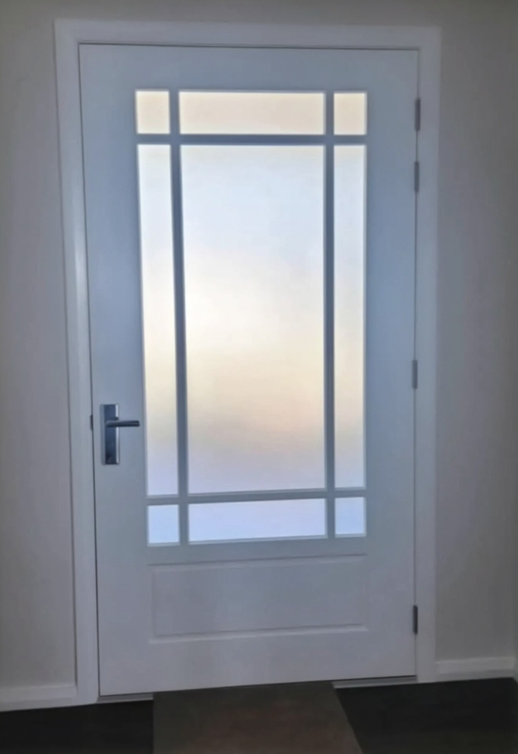Frosted window film on 9-pane interior door in luxury new build Avalon Northern Beaches — TMC Tinting
